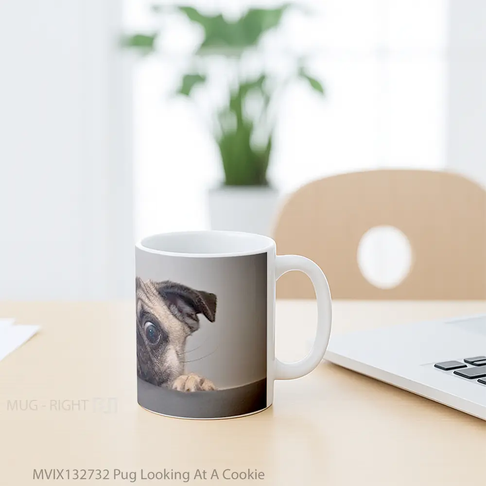 Mug Pug Looking At A Cookie Gelas Keramik Unik - All-side / Desain