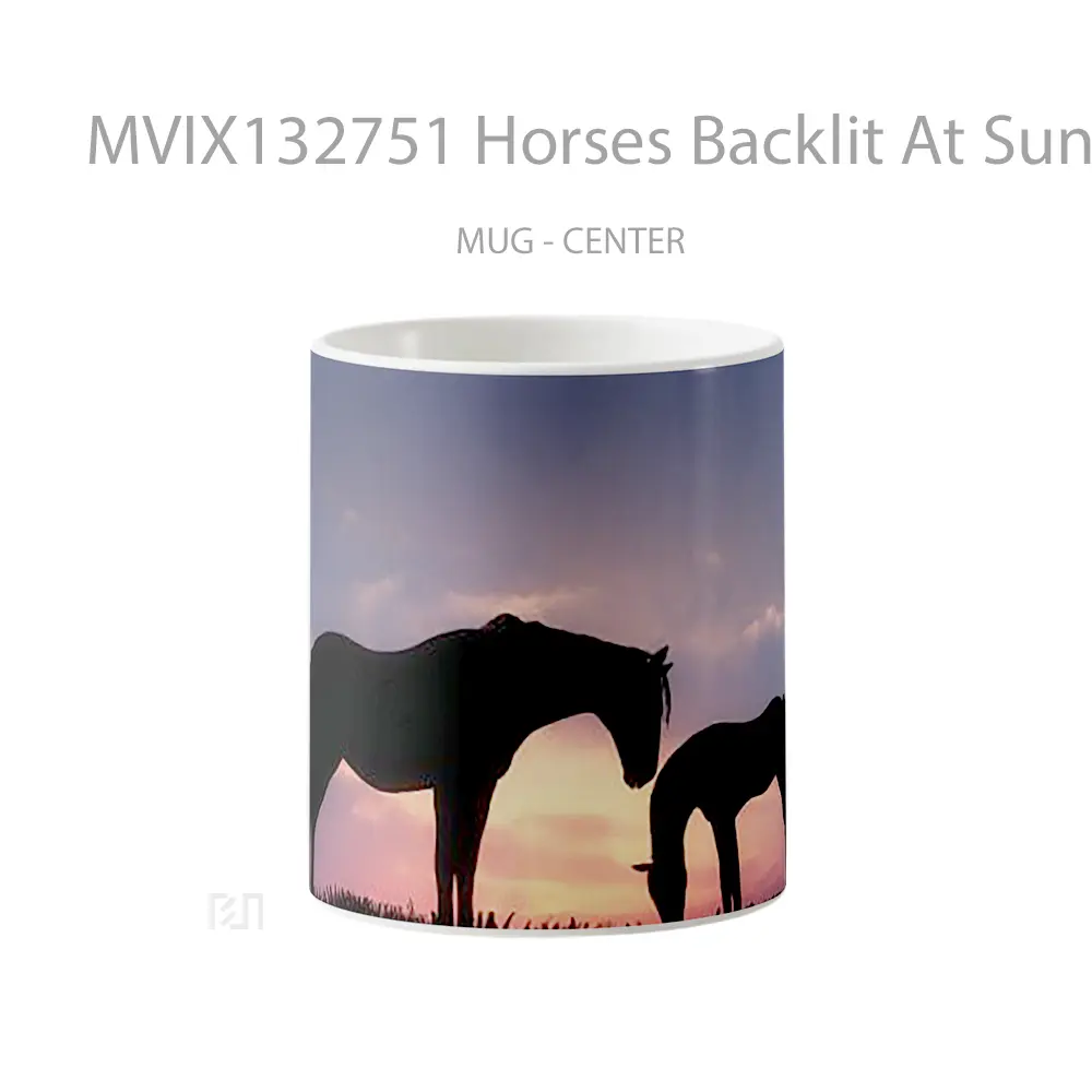 Mug Horses Backlit At Sunset Gelas Hewan Lucu