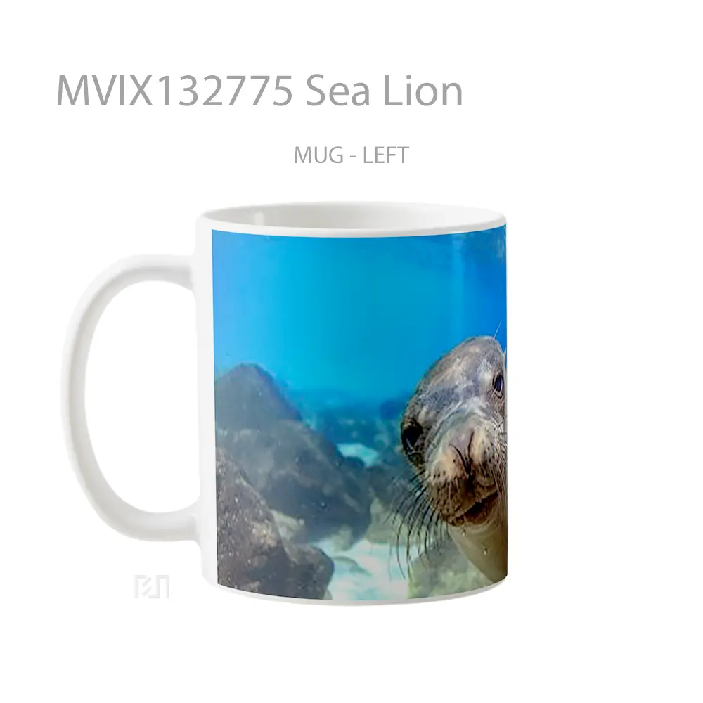 Mug Sea Lion Gelas Hewan Lucu - All-side / Desain
