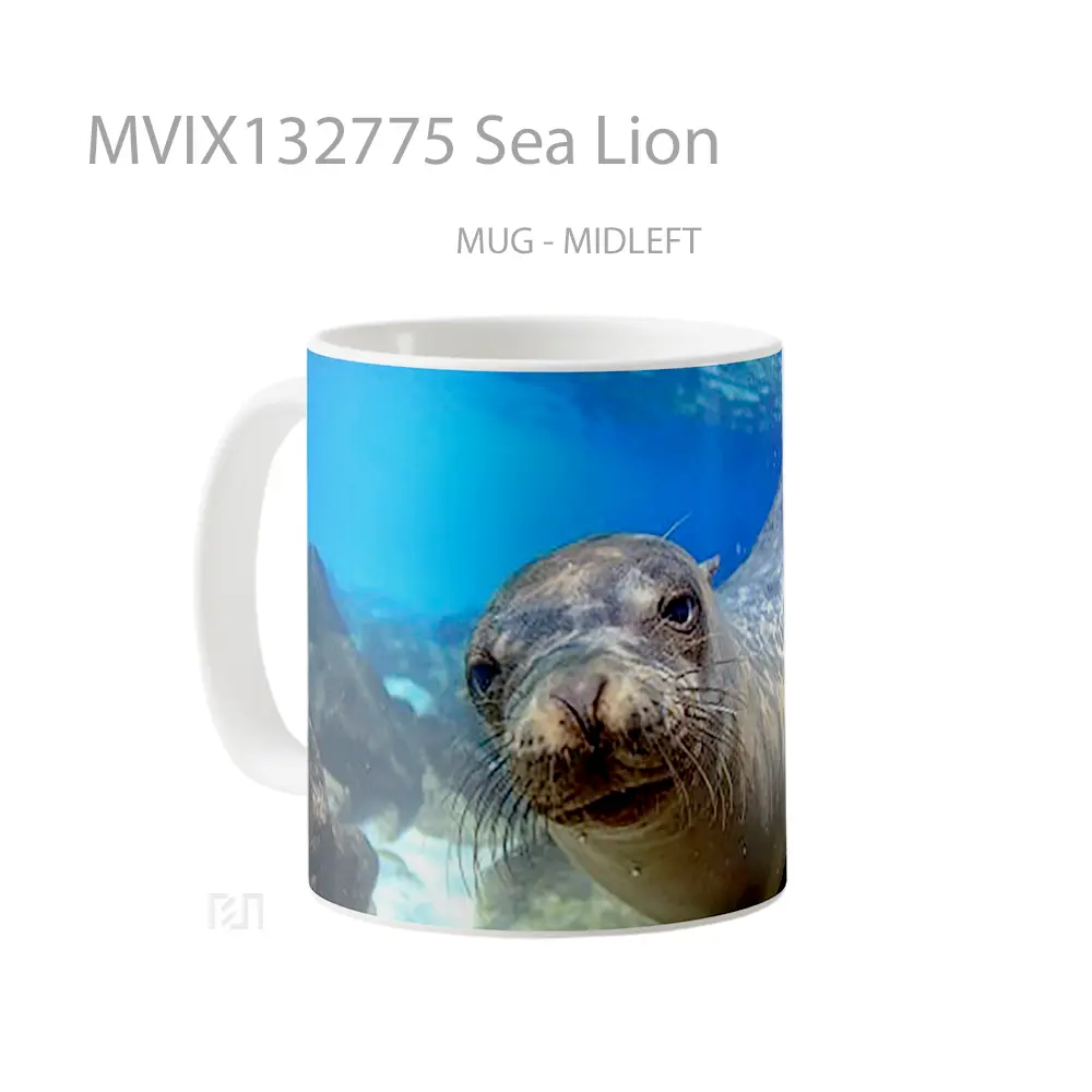 Mug Sea Lion Gelas Hewan Lucu - All-side / Desain