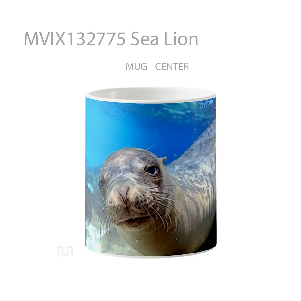 Mug Sea Lion Gelas Hewan Lucu