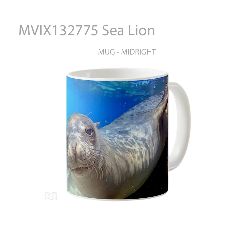 Mug Sea Lion Gelas Hewan Lucu - All-side / Desain