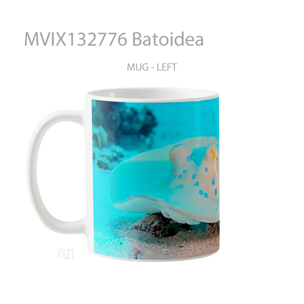 Mug Batoidea Gelas Keramik Unik - All-side / Desain