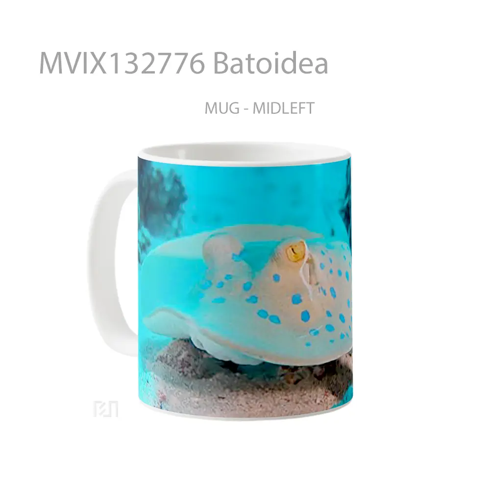 Mug Batoidea Gelas Keramik Unik - All-side / Desain