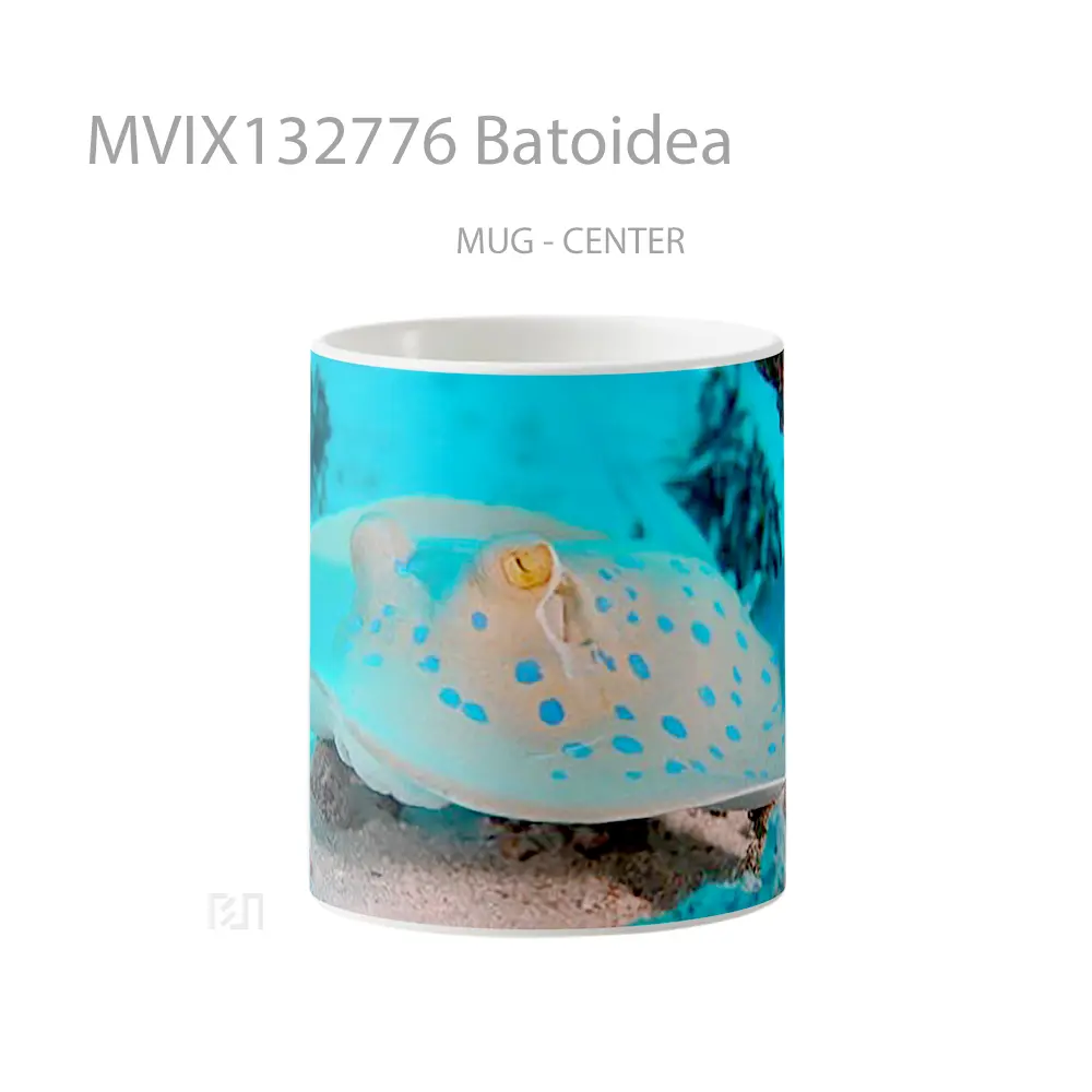 Mug Batoidea Gelas Keramik Unik