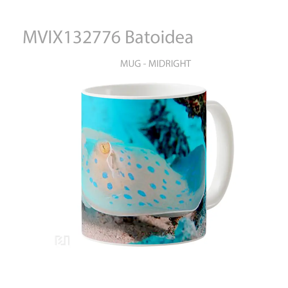 Mug Batoidea Gelas Keramik Unik - All-side / Desain