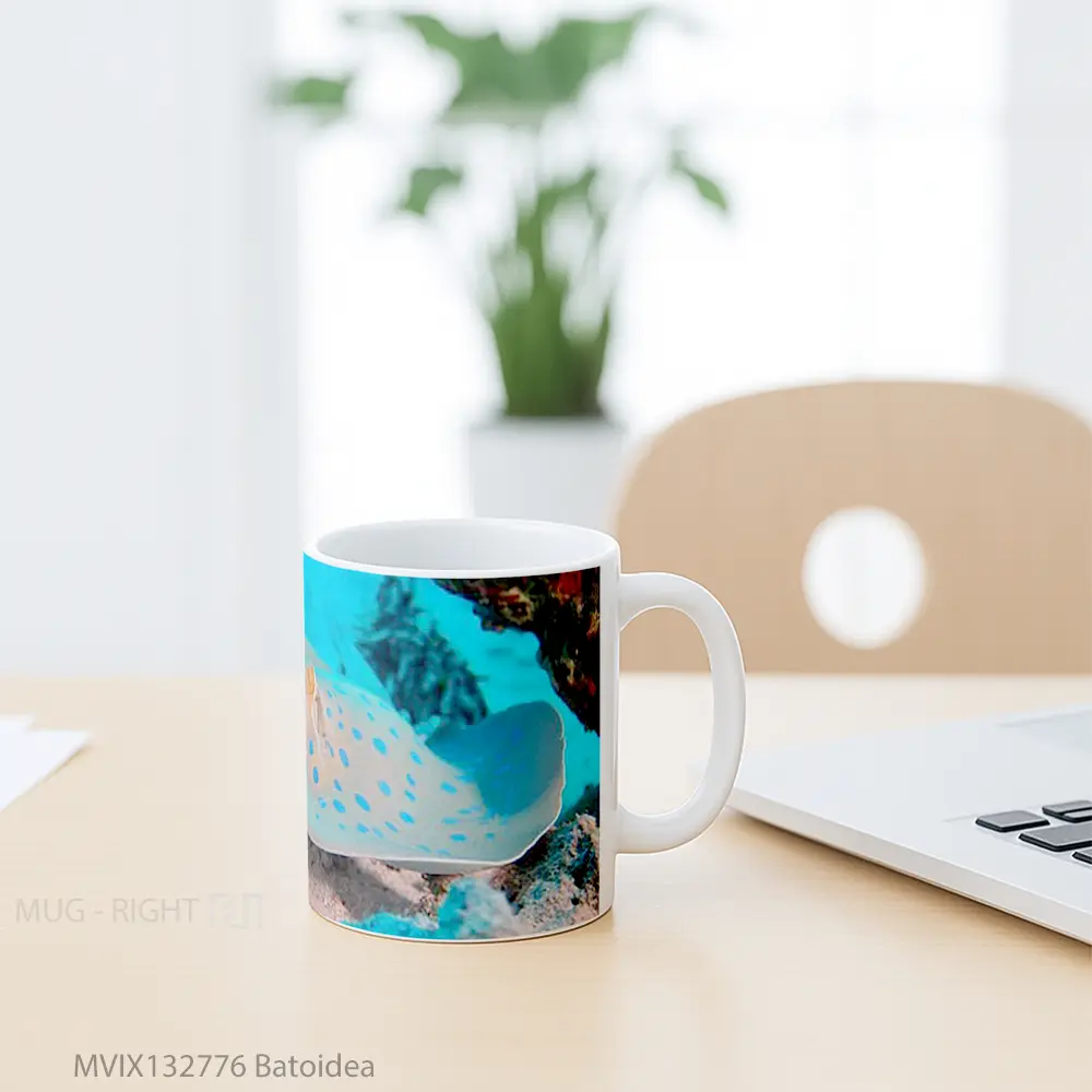 Mug Batoidea Gelas Keramik Unik - All-side / Desain