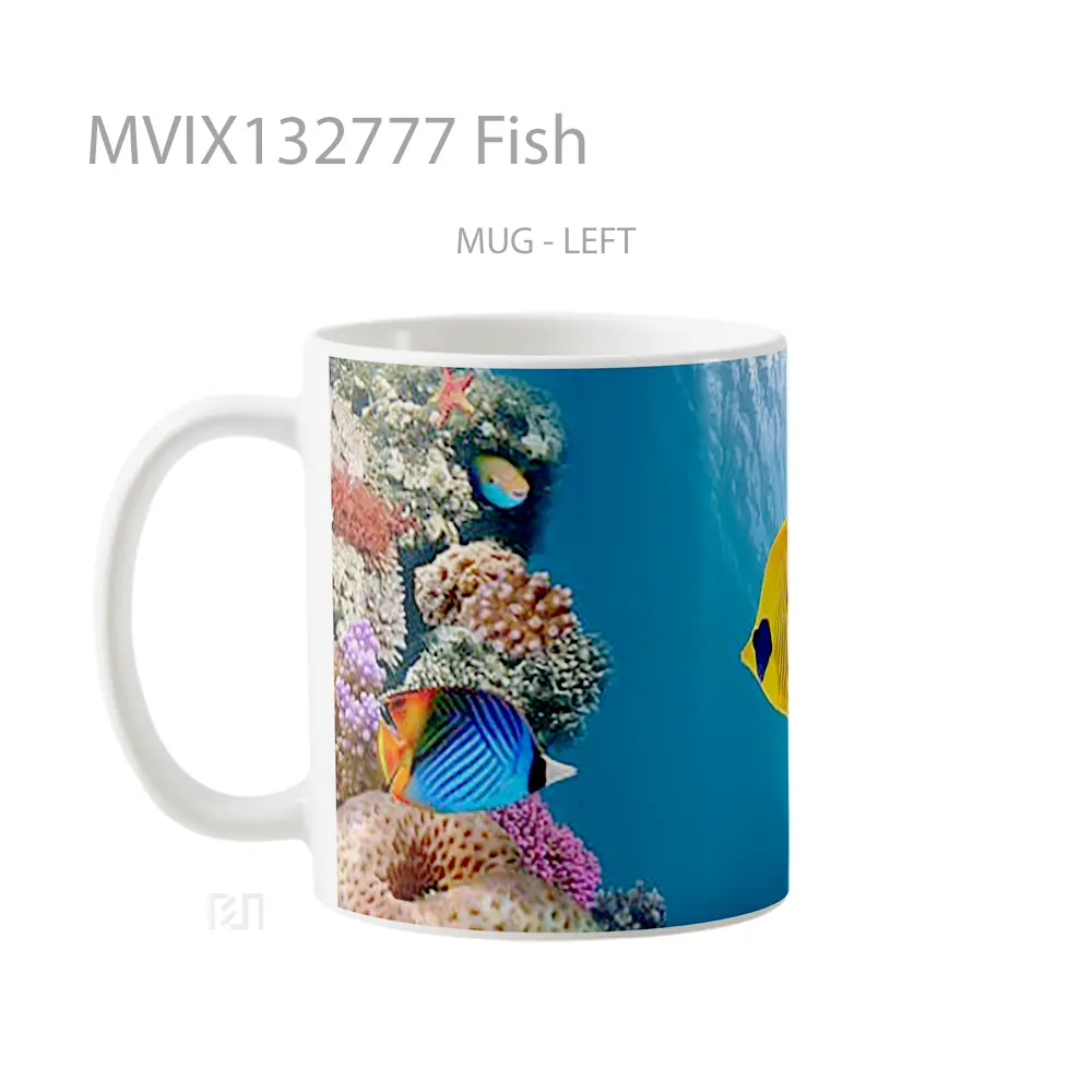 Mug Fish Gelas Hewan Lucu - All-side / Desain