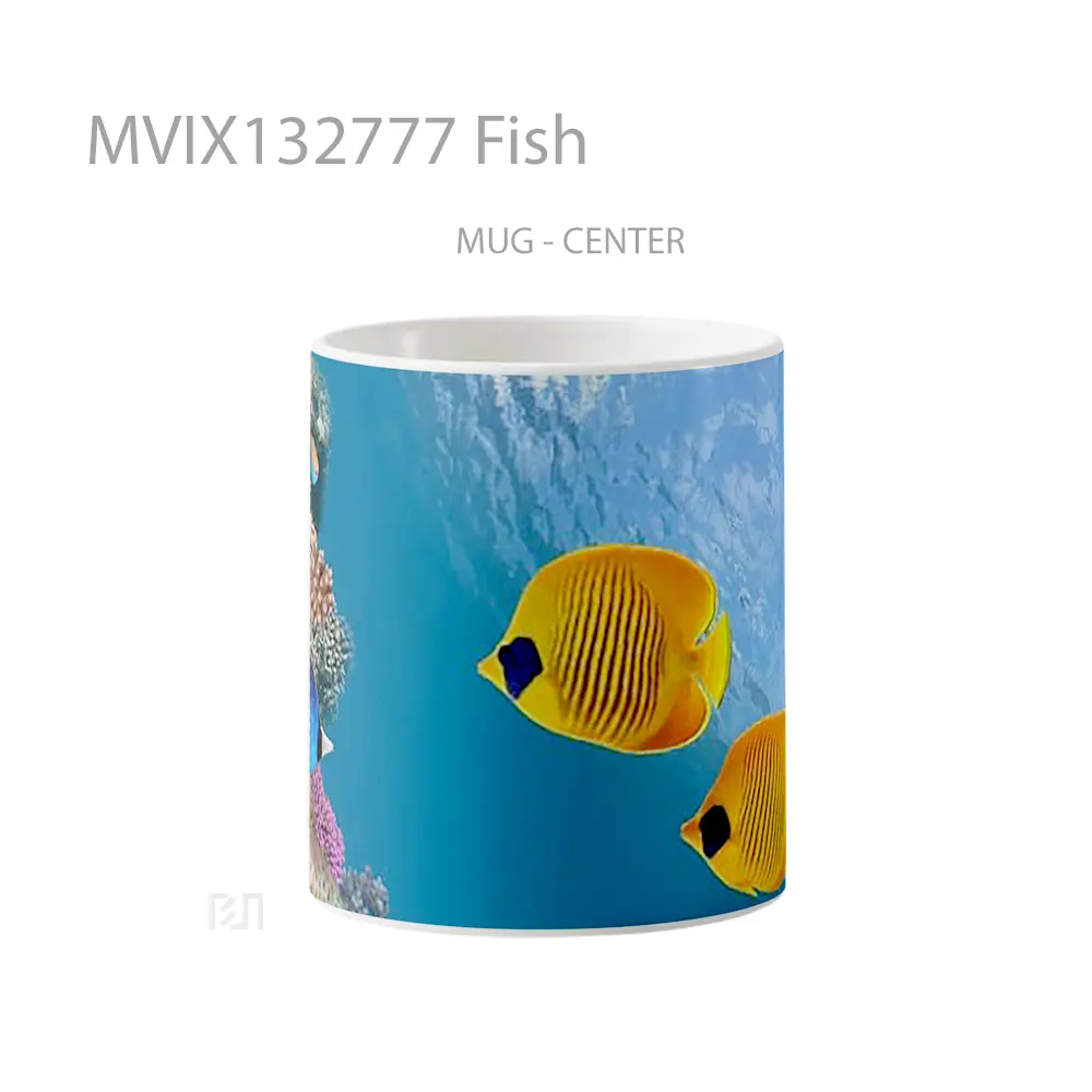 Mug Fish Gelas Hewan Lucu