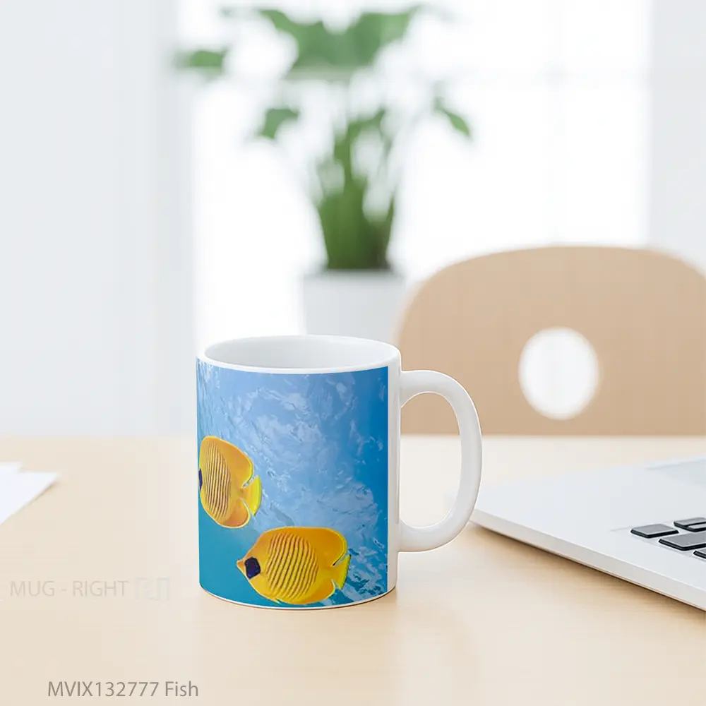 Mug Fish Gelas Hewan Lucu - All-side / Desain