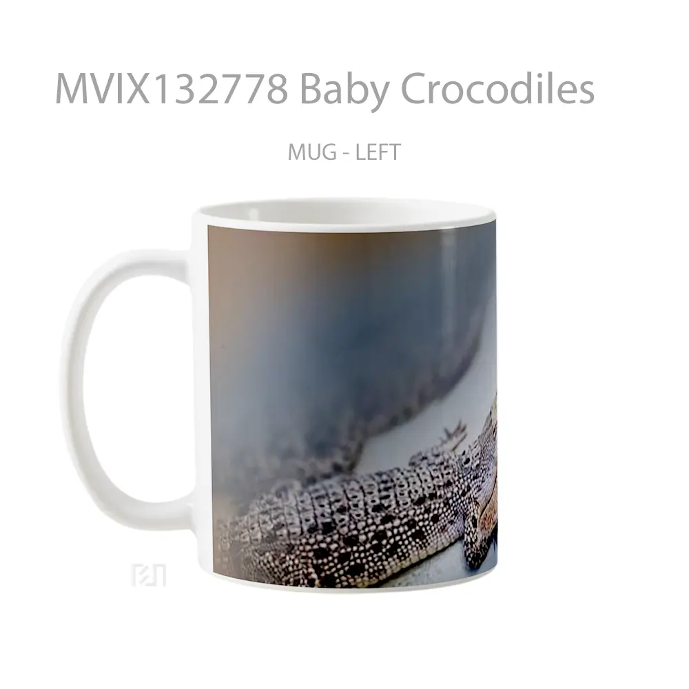 Mug Baby Crocodiles Gelas Keramik Unik - All-side / Desain