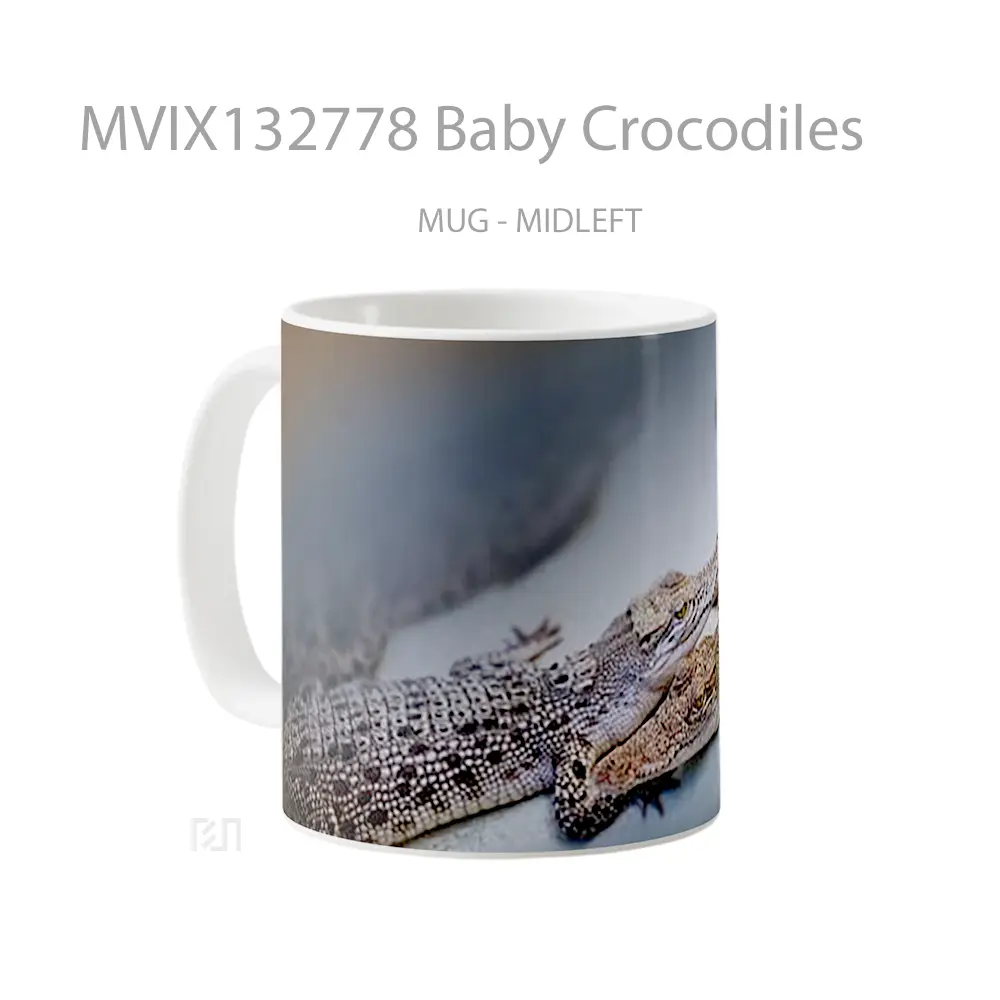Mug Baby Crocodiles Gelas Keramik Unik - All-side / Desain