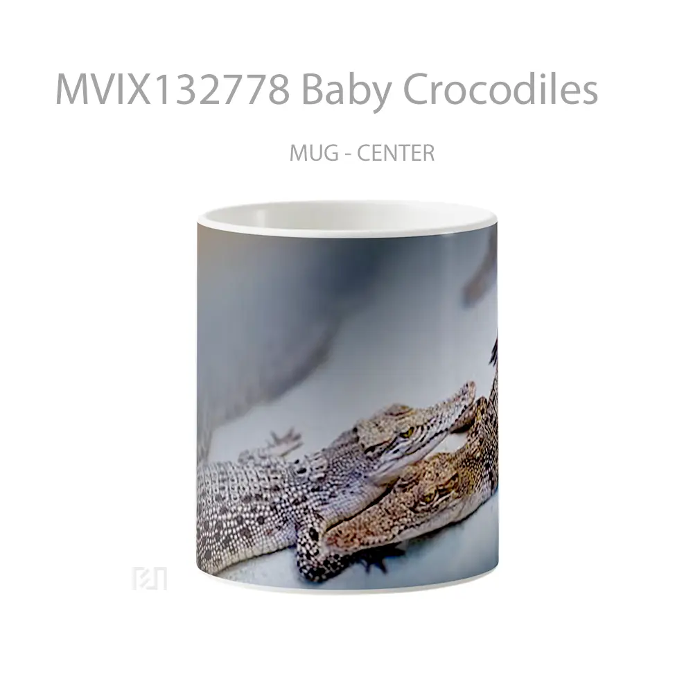 Mug Baby Crocodiles Gelas Keramik Unik