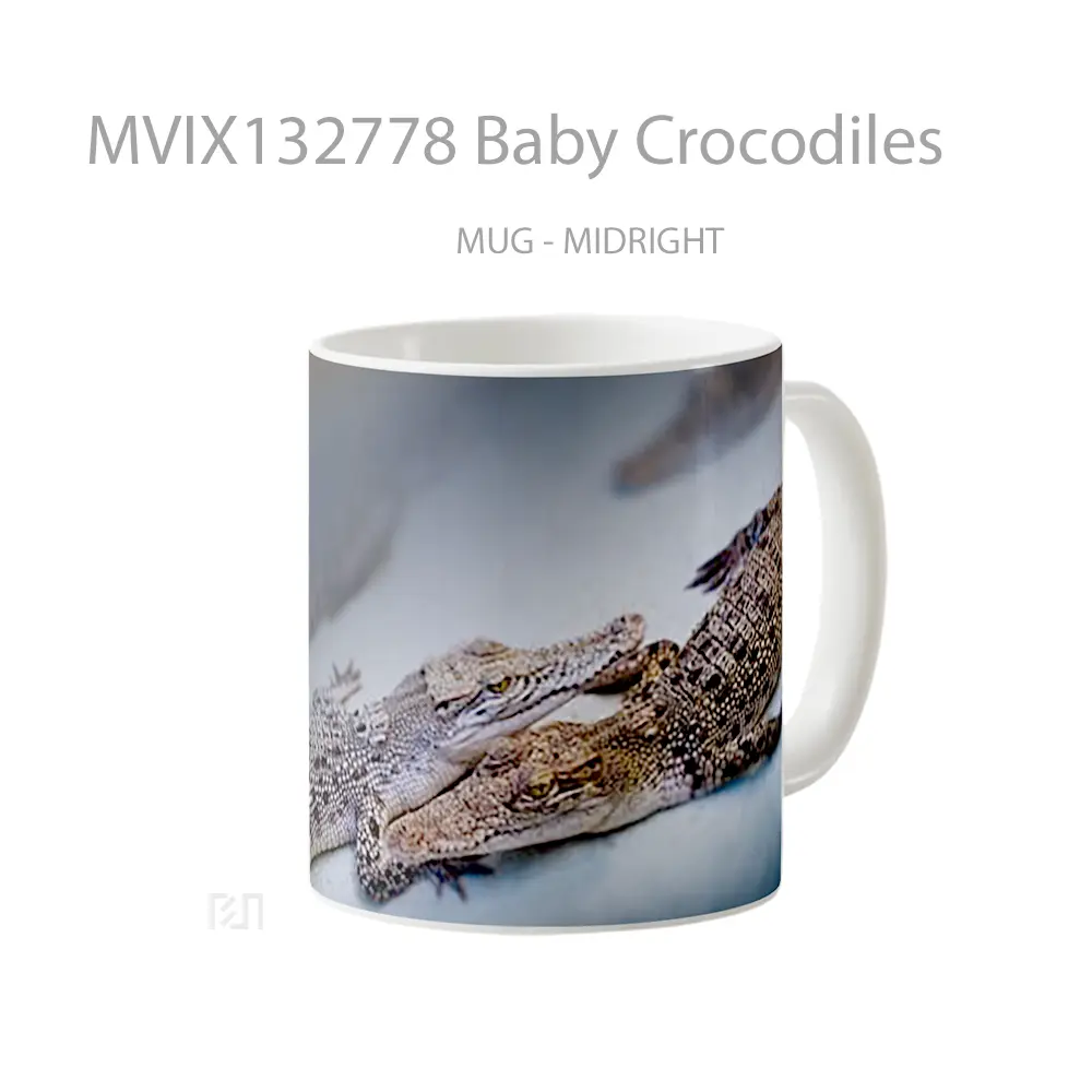 Mug Baby Crocodiles Gelas Keramik Unik - All-side / Desain