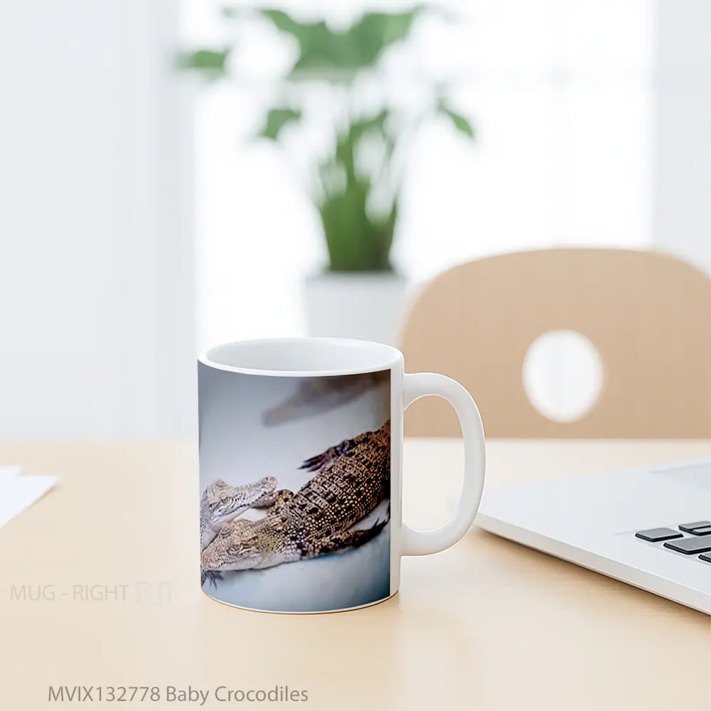 Mug Baby Crocodiles Gelas Keramik Unik - All-side / Desain