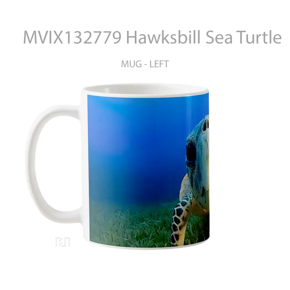 Mug Hawksbill Sea Turtle Gelas Hewan Lucu - All-side / Desain
