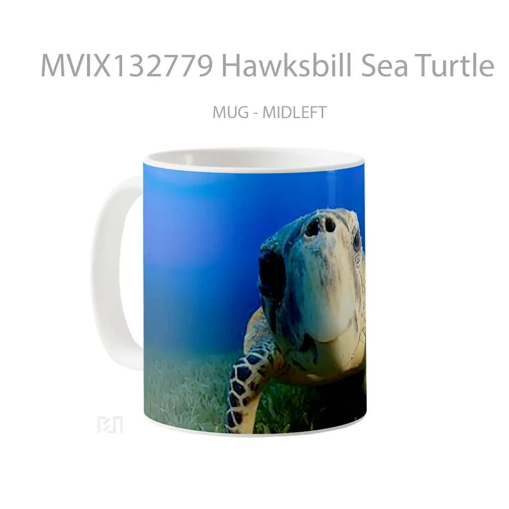 Mug Hawksbill Sea Turtle Gelas Hewan Lucu - All-side / Desain