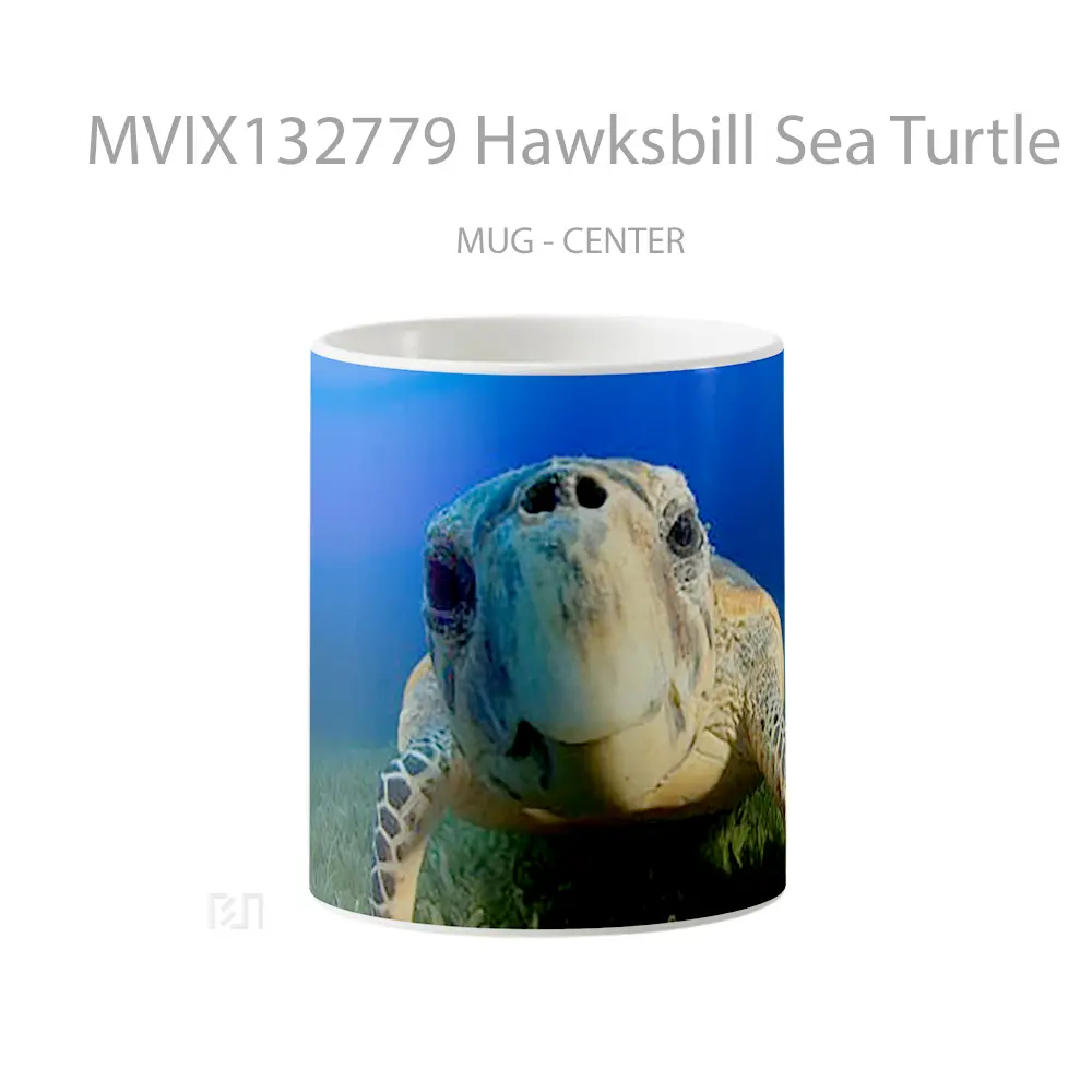 Mug Hawksbill Sea Turtle Gelas Hewan Lucu