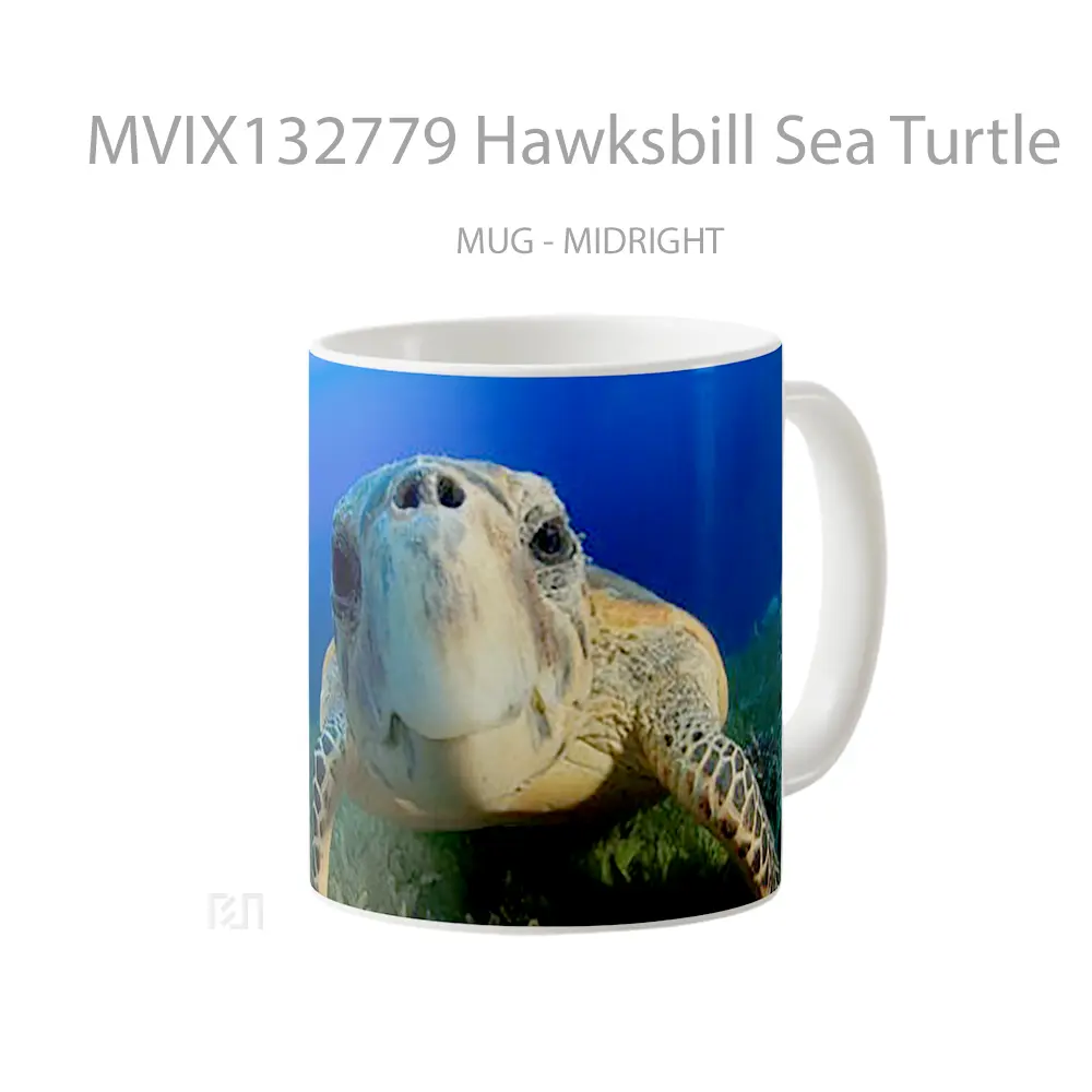 Mug Hawksbill Sea Turtle Gelas Hewan Lucu - All-side / Desain