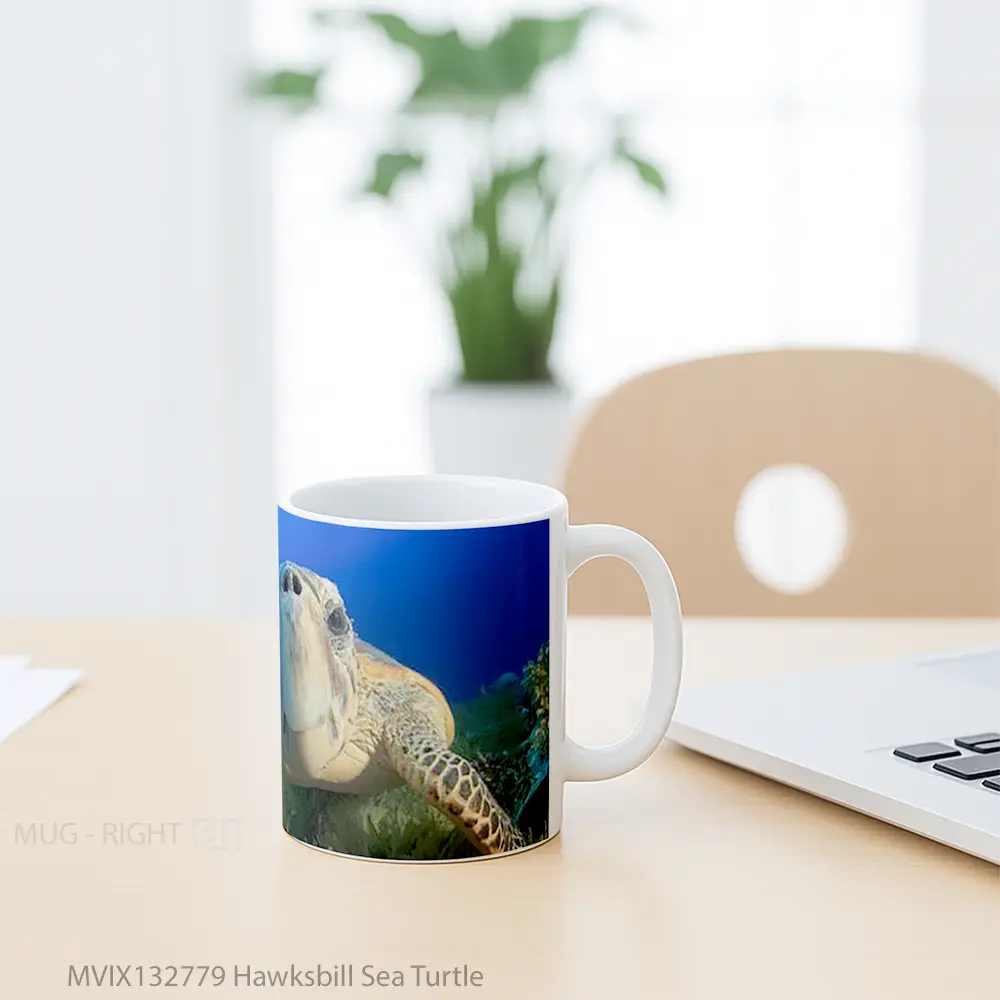 Mug Hawksbill Sea Turtle Gelas Hewan Lucu - All-side / Desain