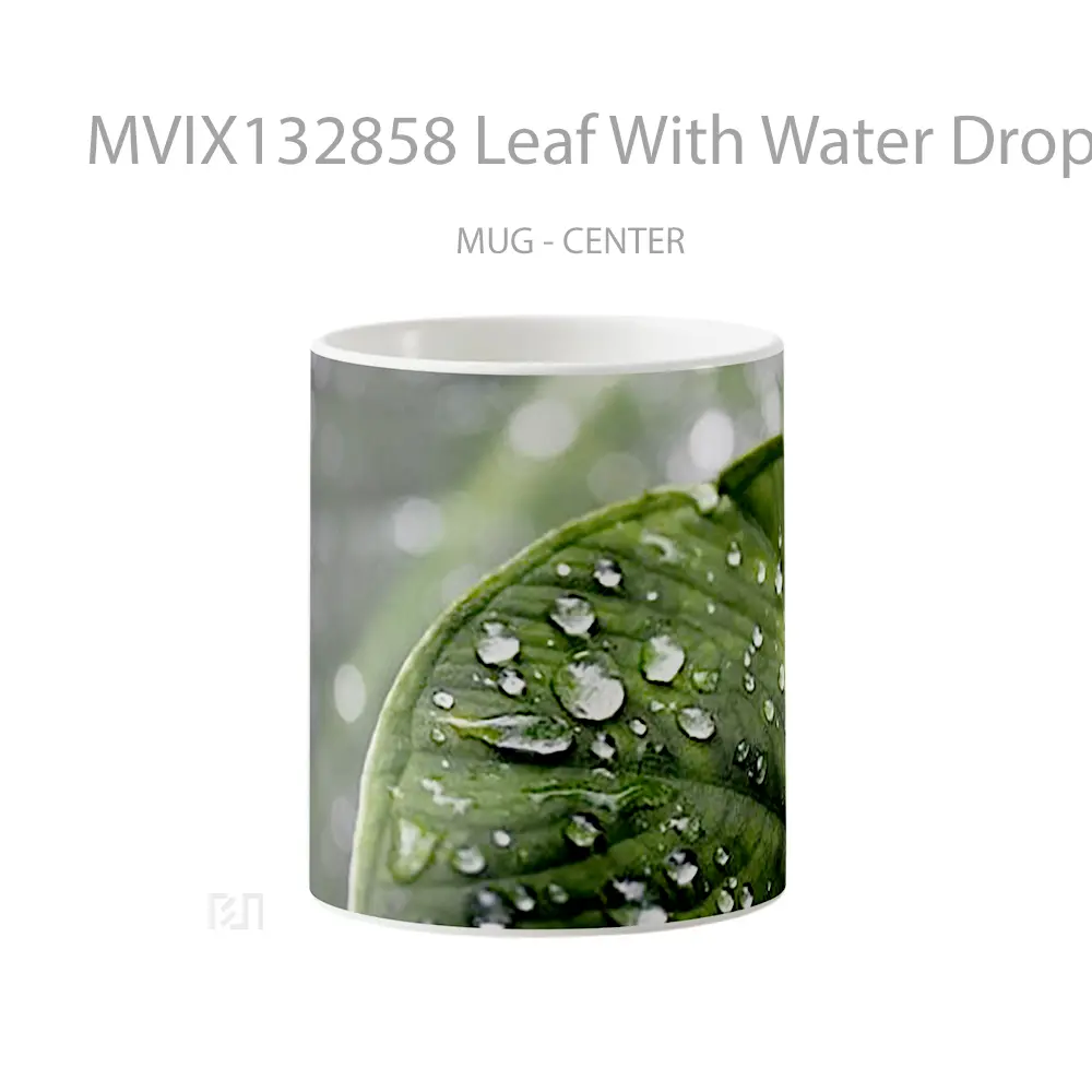Mug Leaf With Water Drops Gelas Pemandangan Alam