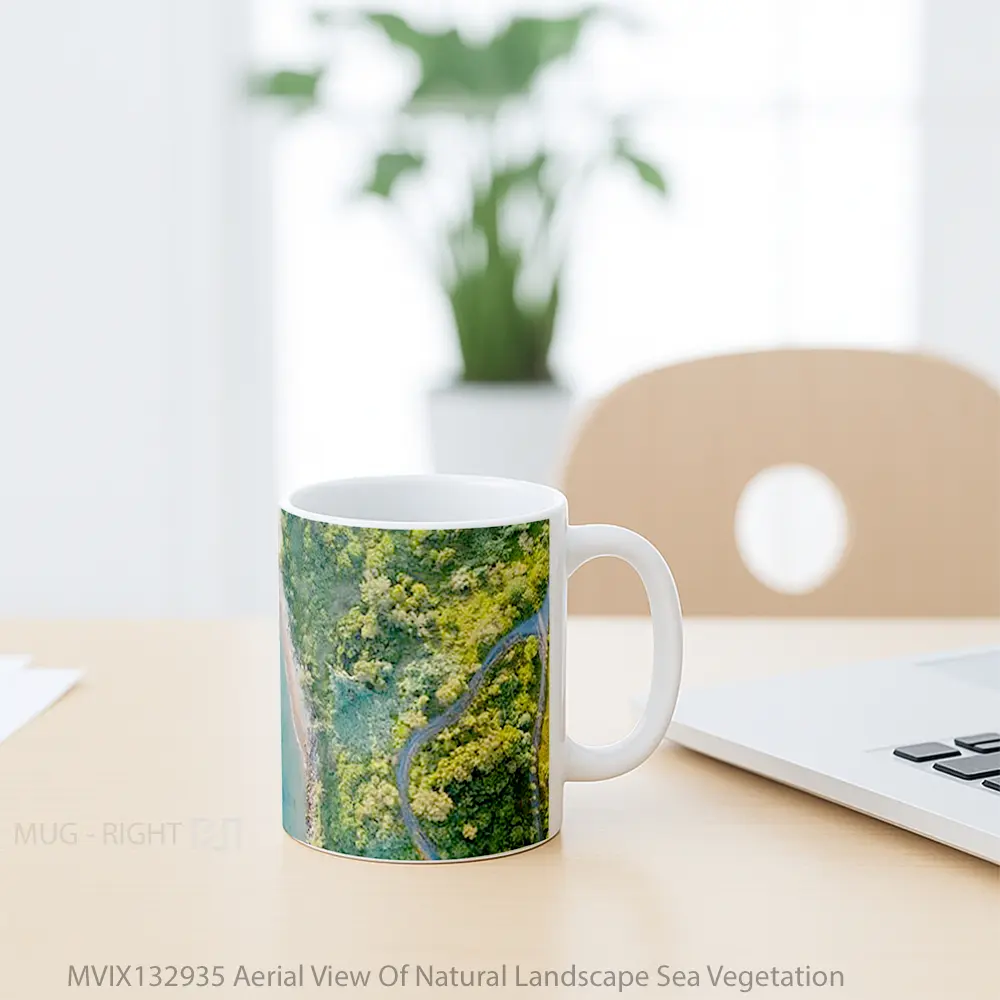 Mug Aerial View Of Natural Landscape Sea Vegetation Gelas Pemandangan Alam - All-side / Desain