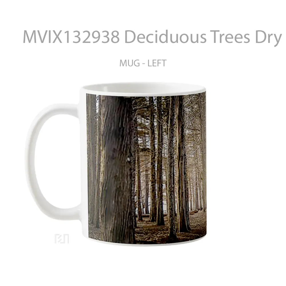 Mug Deciduous Trees Dry Forest Autumn Gelas Pemandangan Alam - All-side / Desain
