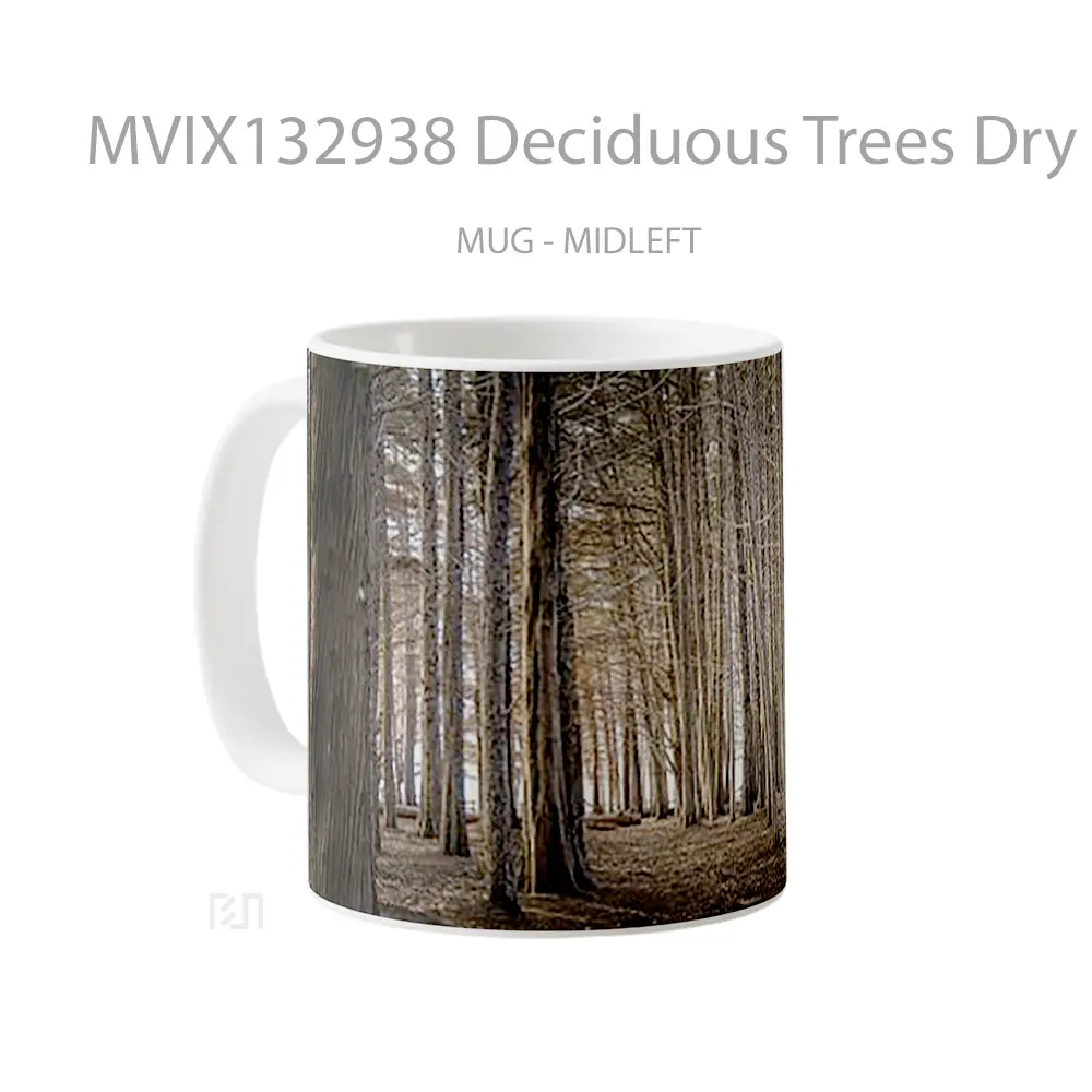 Mug Deciduous Trees Dry Forest Autumn Gelas Pemandangan Alam - All-side / Desain