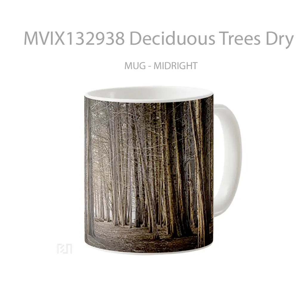 Mug Deciduous Trees Dry Forest Autumn Gelas Pemandangan Alam - All-side / Desain