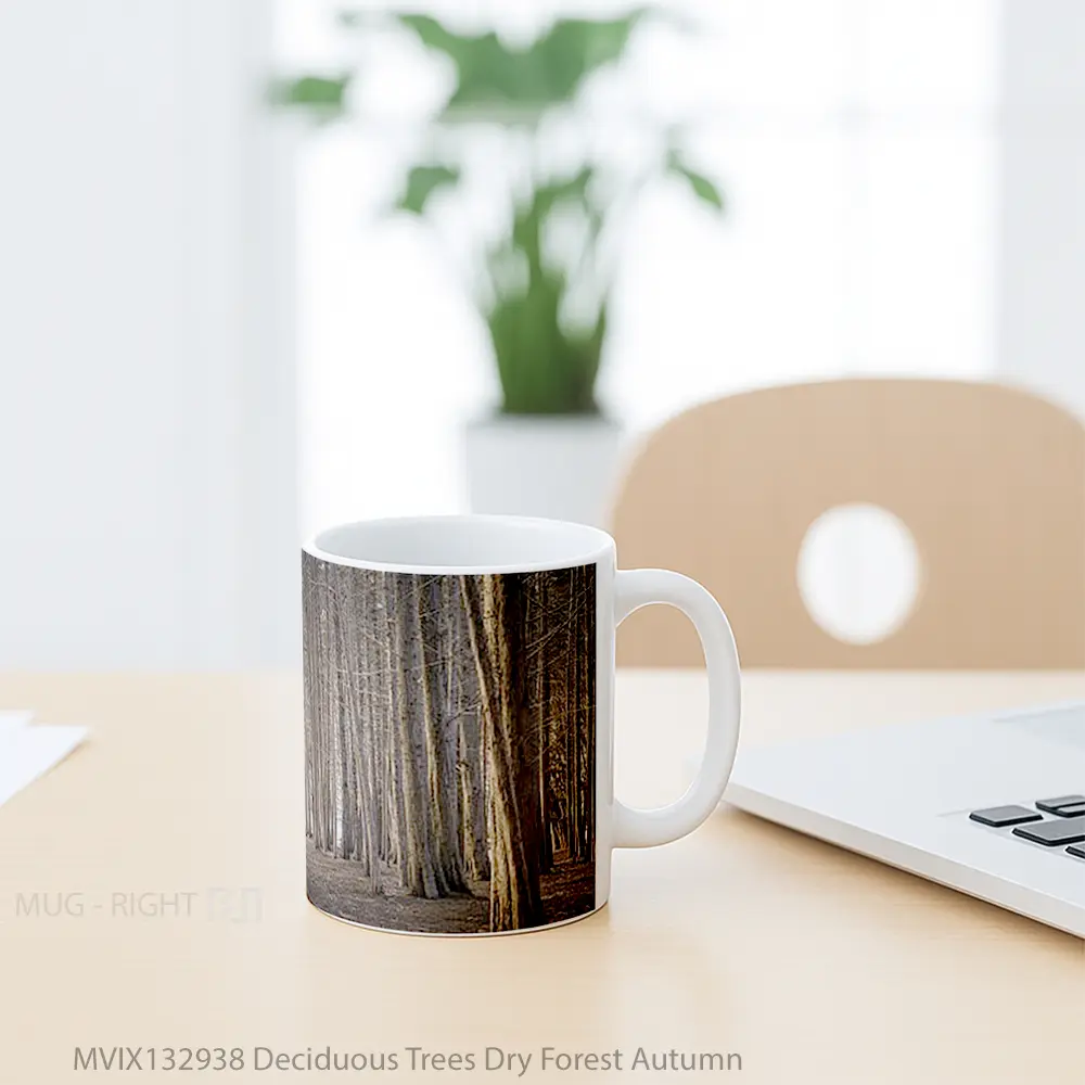 Mug Deciduous Trees Dry Forest Autumn Gelas Pemandangan Alam - All-side / Desain