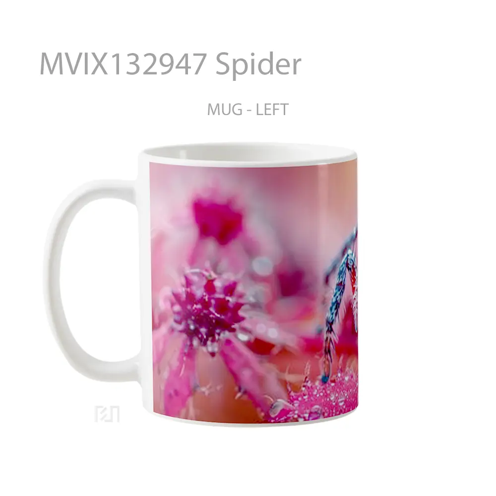 Mug Spider Gelas Keramik Unik - All-side / Desain
