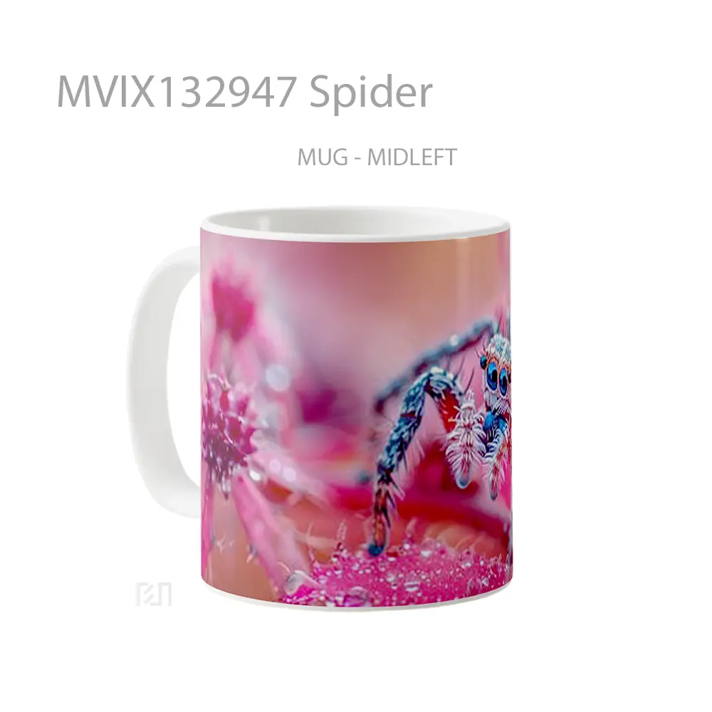 Mug Spider Gelas Keramik Unik - All-side / Desain