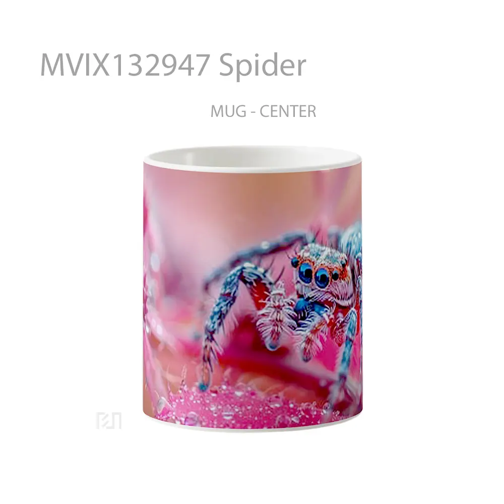 Mug Spider Gelas Keramik Unik