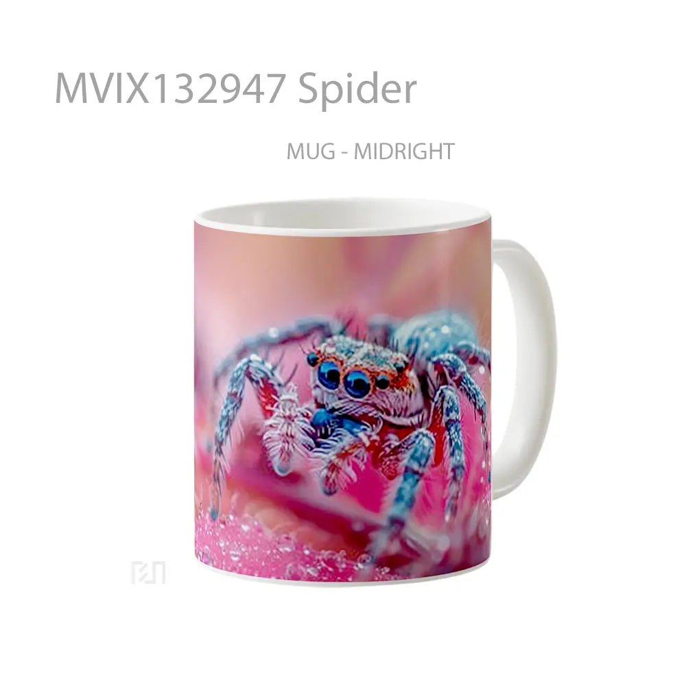 Mug Spider Gelas Keramik Unik - All-side / Desain
