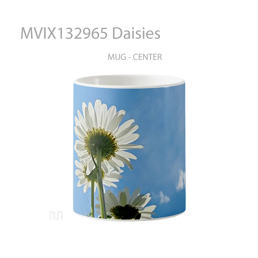Mug Daisies Gelas Keramik Unik