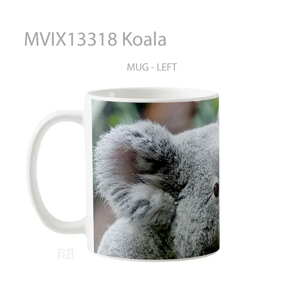 Mug Koala Gelas Hewan Lucu - All-side / Desain