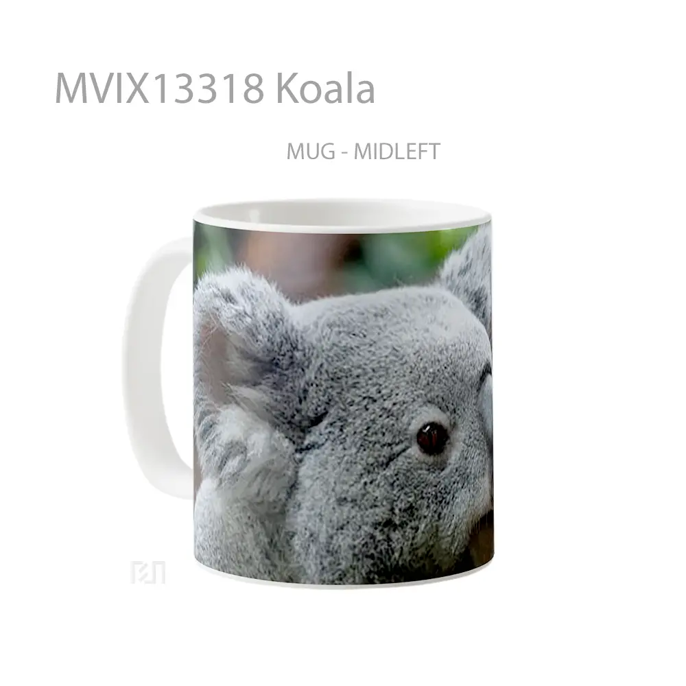 Mug Koala Gelas Hewan Lucu - All-side / Desain