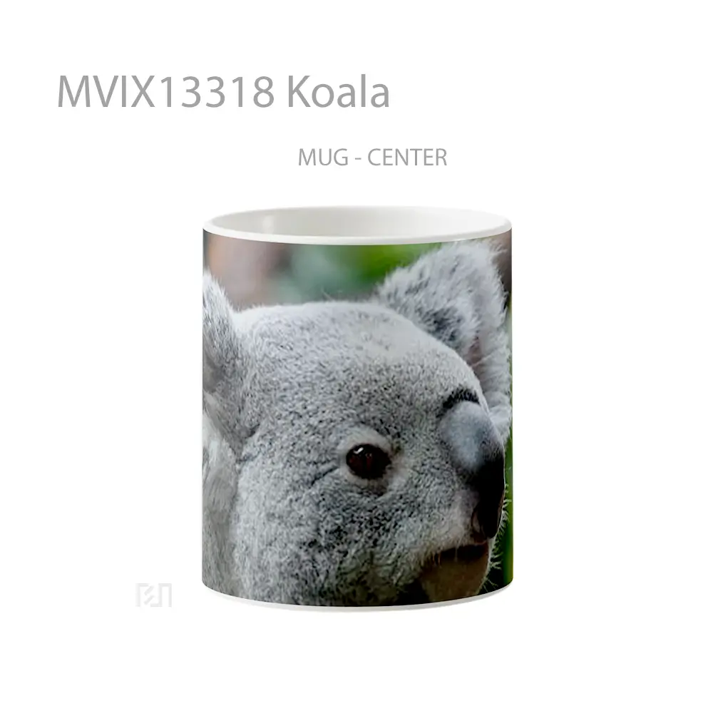 Mug Koala Gelas Hewan Lucu