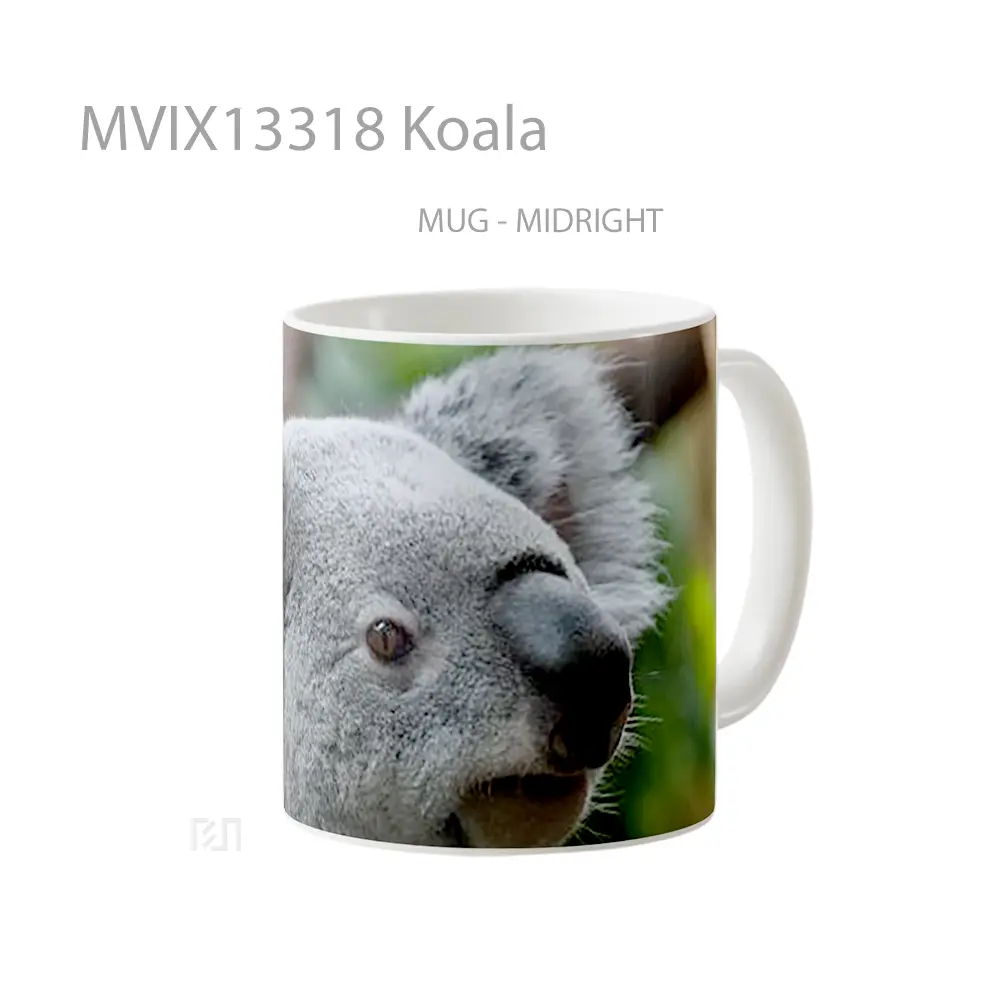 Mug Koala Gelas Hewan Lucu - All-side / Desain
