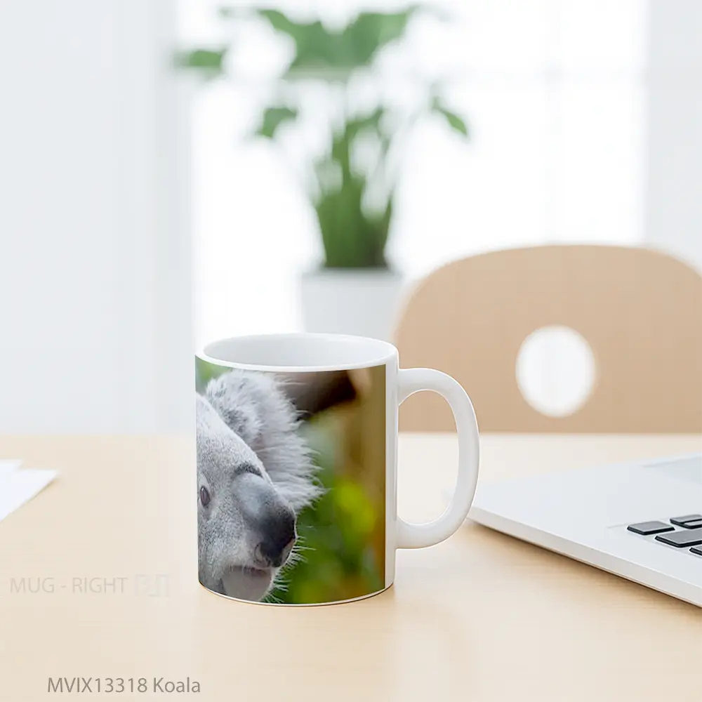 Mug Koala Gelas Hewan Lucu - All-side / Desain