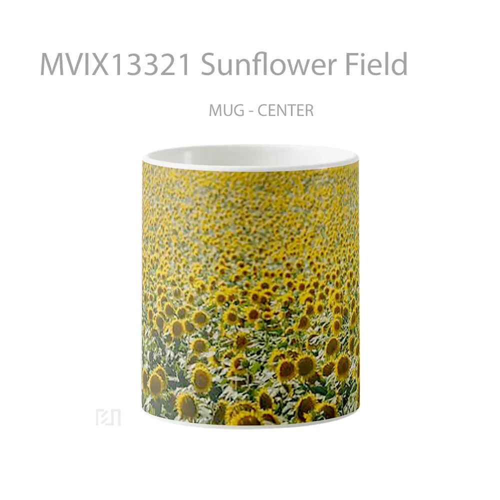 Mug Sunflower Field Gelas Pemandangan Alam