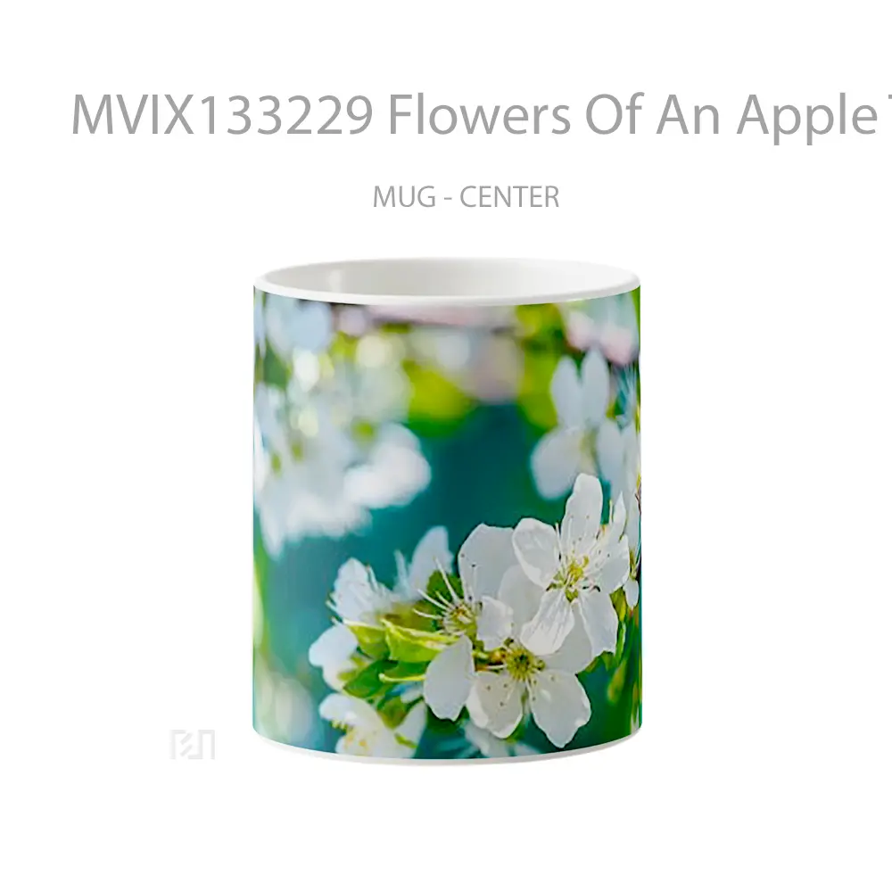 Mug Flowers Of An Apple Tree Gelas Pemandangan Alam