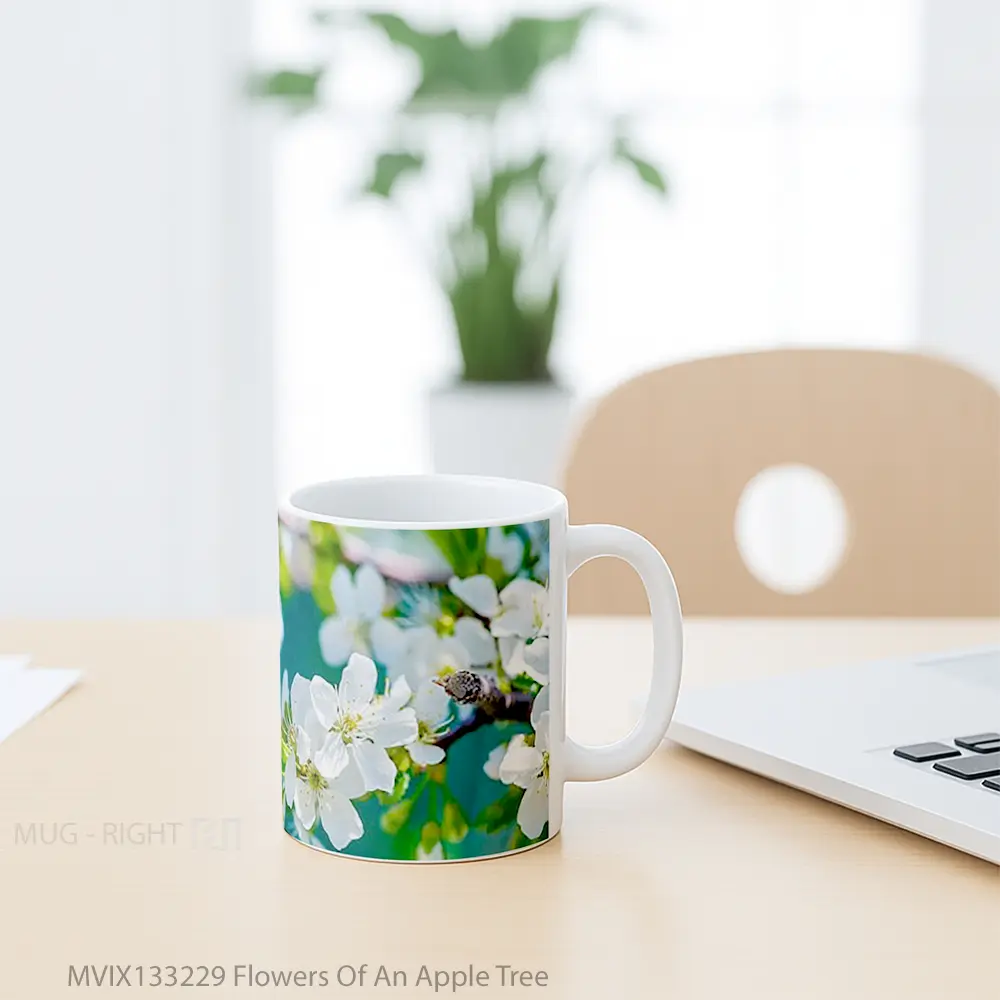 Mug Flowers Of An Apple Tree Gelas Pemandangan Alam - All-side / Desain