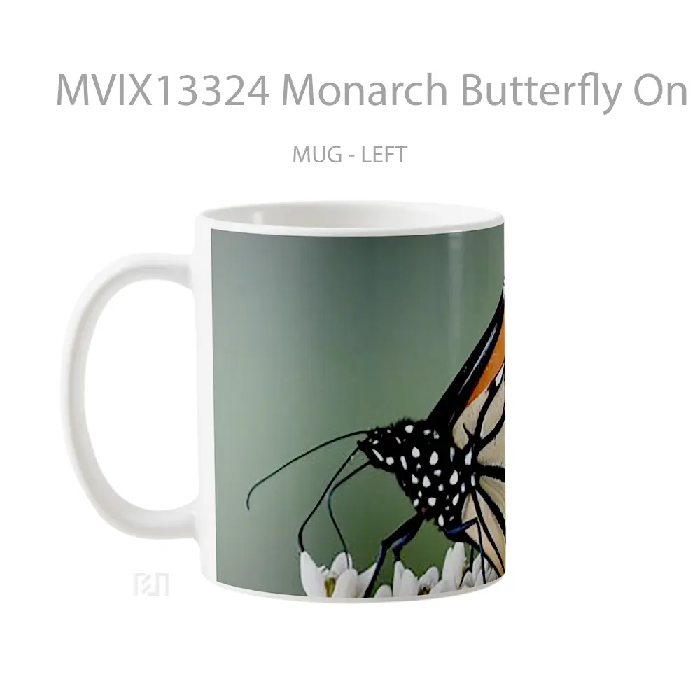 Mug Monarch Butterfly On Flowers Gelas Hewan Lucu - All-side / Desain