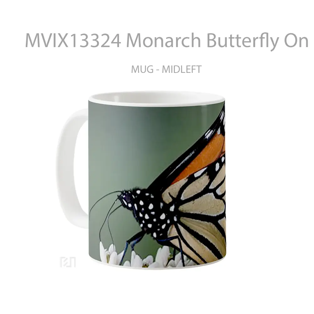 Mug Monarch Butterfly On Flowers Gelas Hewan Lucu - All-side / Desain