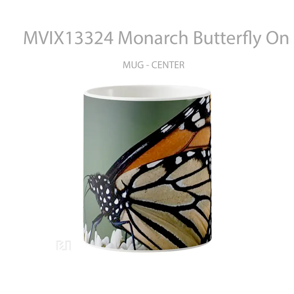 Mug Monarch Butterfly On Flowers Gelas Hewan Lucu
