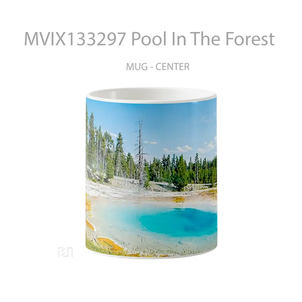 Mug Pool In The Forest Gelas Pemandangan Alam