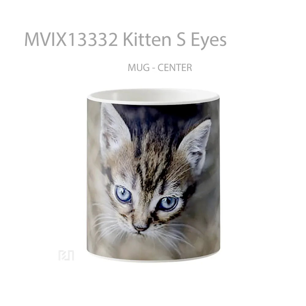 Mug Kitten S Eyes Gelas Hewan Lucu