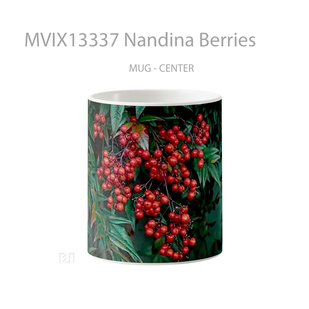Mug Nandina Berries Gelas Keramik Unik