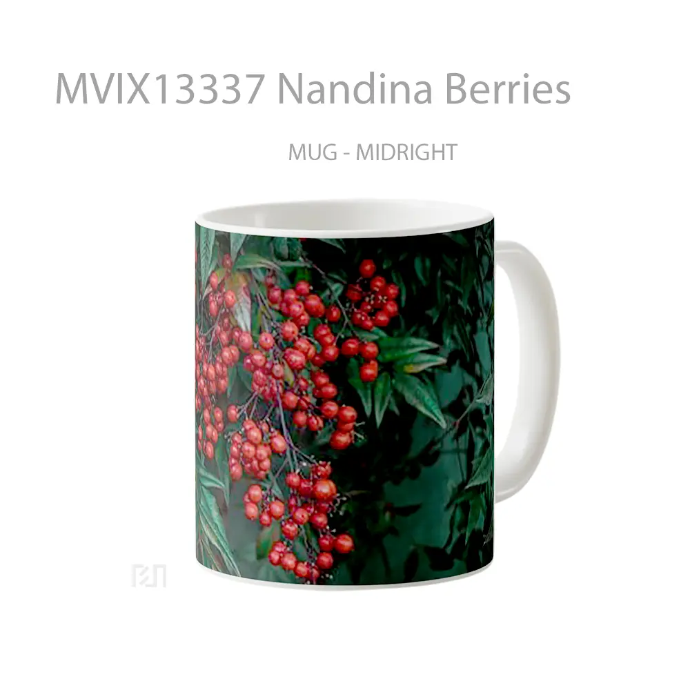 Mug Nandina Berries Gelas Keramik Unik - All-side / Desain
